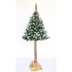 Ель искусственная Сосна с белыми кончиками и шишками на штамбе 160 см